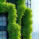 Icon showing a lush vertical garden installation on a city building